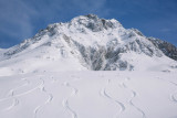 Ski hors-piste sauvage - Pralognan-la-Vanoise