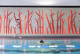 Swimming pool - lap lane
