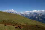 Boucle du Mont Jovet - Bozel