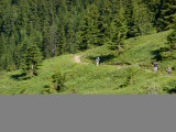 Sentier refuge du Grand Bec