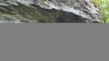 20180620_103129.jpg