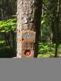 Parcours d'orientation Bozel