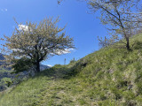 Hamlet trail loop_Bozel