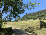Au départ de la boucle de la Croix de Feissons Feissons-sur-Salins - Feissons sur Salins - © Nadia Chevassu Au départ de la boucle de la Croix de Feissons Feissons-sur-Salins - Feissons sur Salins