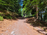 Sur le chemin de la boucle Cul de l'Ane - Bozel