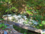 Le long de la rivière sur le chemin de la boucle Cul de l'Ane - Bozel