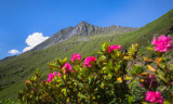Montée refuge Grand Bec - Planay - © Geoffrey Vabre Montée refuge Grand Bec - Planay