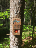 Parcours d'orientation Bozel