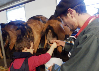 Chévrerie de Chavière