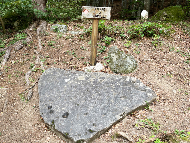 Sentier de la pierre à cupules - Feissons sur Salins