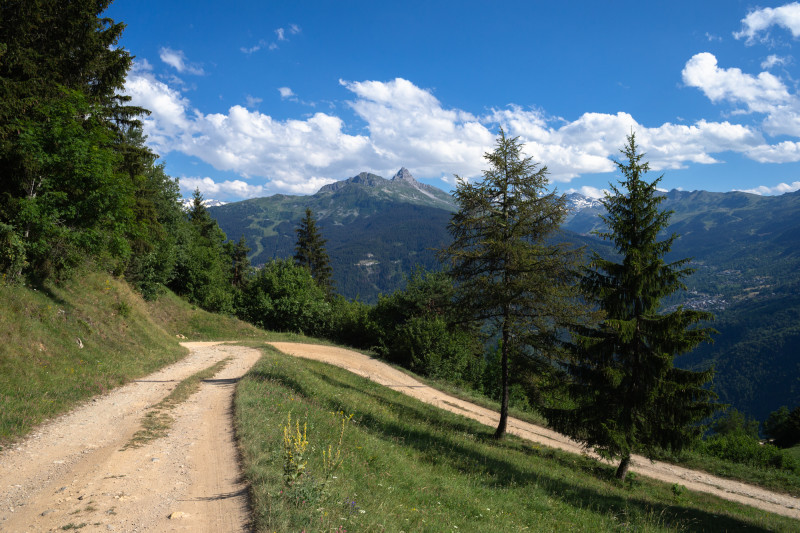 Sentier du Pré Benoit - Feissons sur Salins