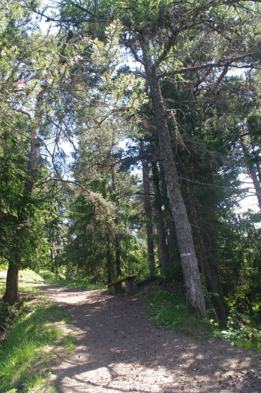 Sentier du Pré Benoit - Feissons sur Salins