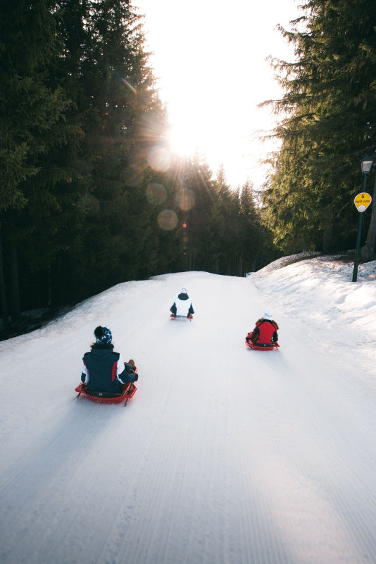 Luge