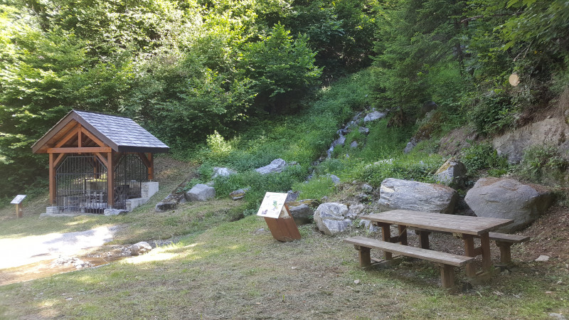20180620_112606.jpg