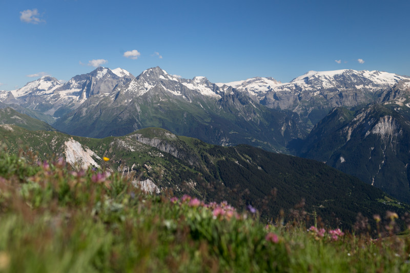 Mont Jovet A/R depuis Montangy la Thuile