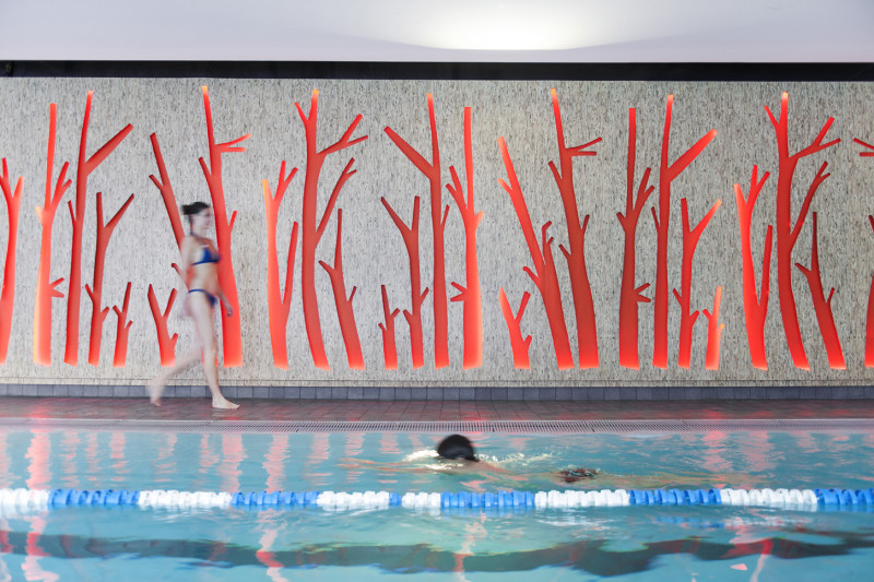 Piscine - Ligne de nage