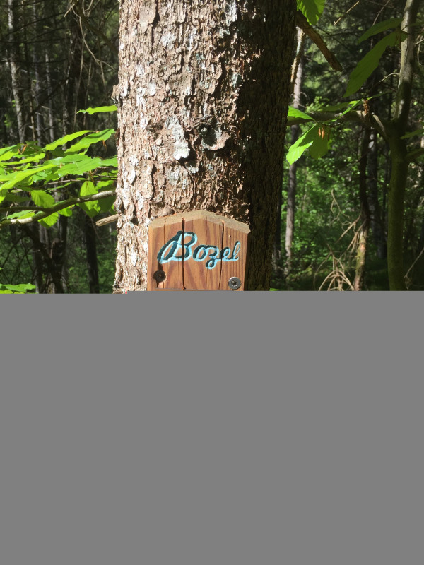 Parcours d'orientation Bozel