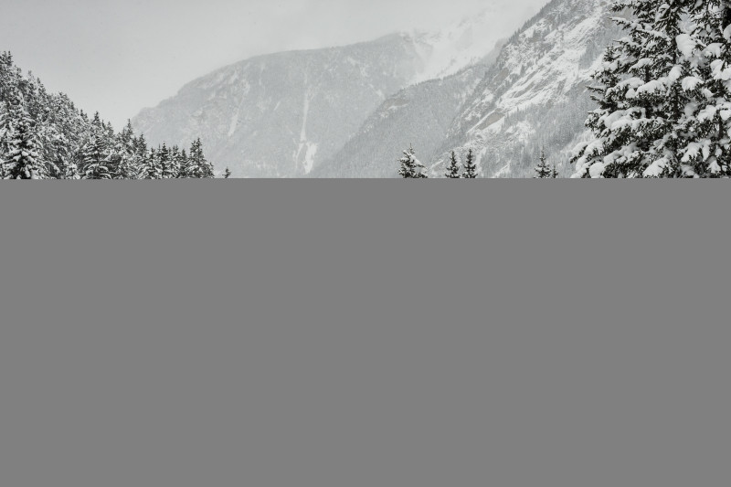 Nordic area