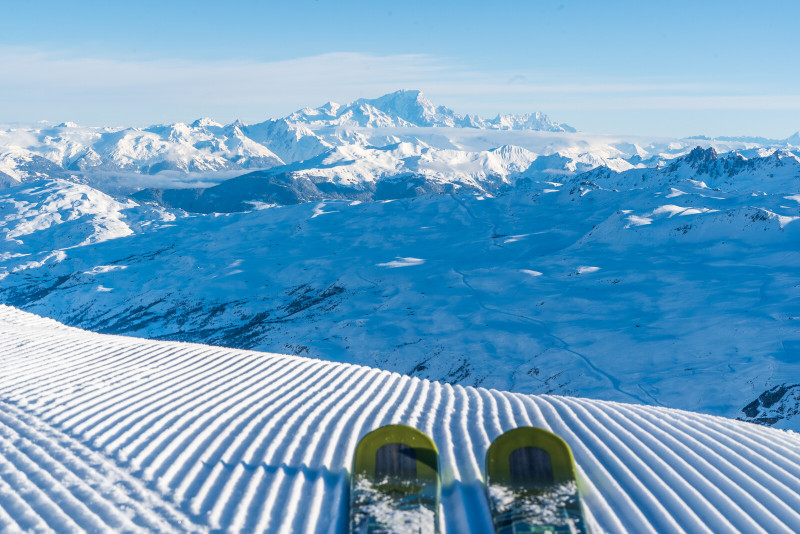 Face au mont blanc