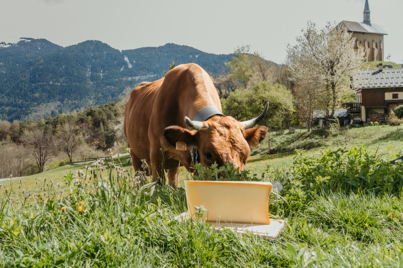 Coopérative laitière de Moûtiers_Moûtiers