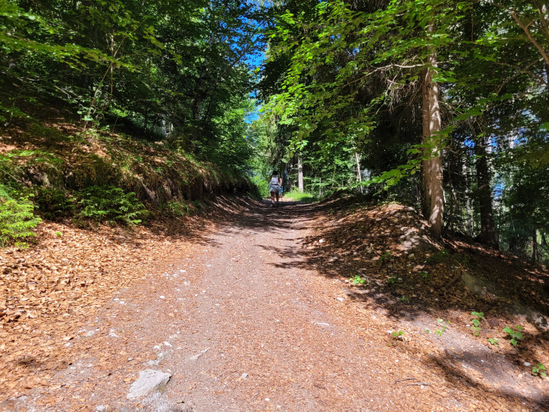 Sur le chemin de la boucle Cul de l'Ane - Bozel