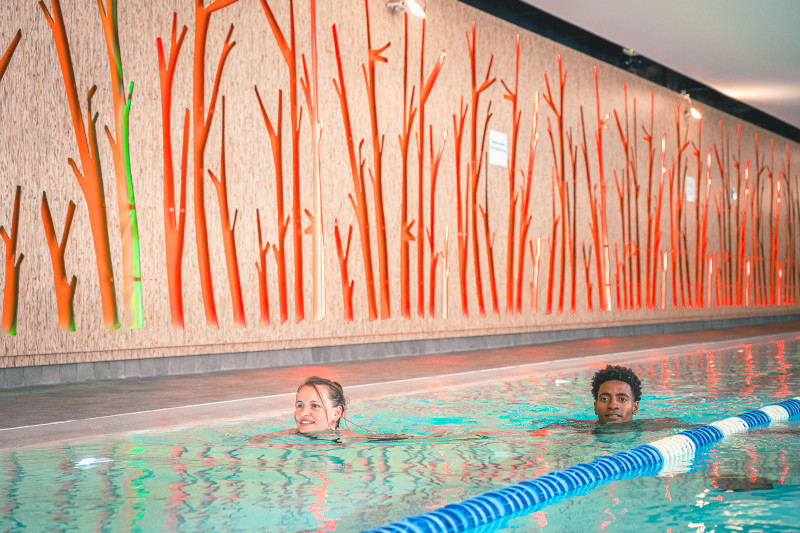 Le Cristal - Vanoise Sports and Recreation Center_Pralognan-la-Vanoise