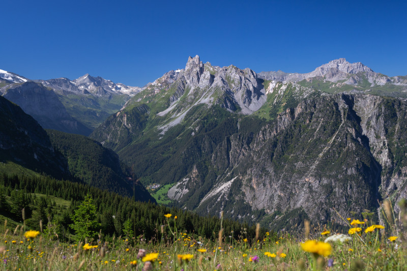 Circuit Refuge du grand bec  - Planay