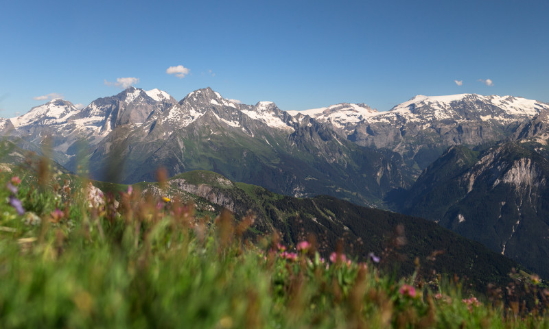 Mont Jovet A/R depuis Montangy la Thuile