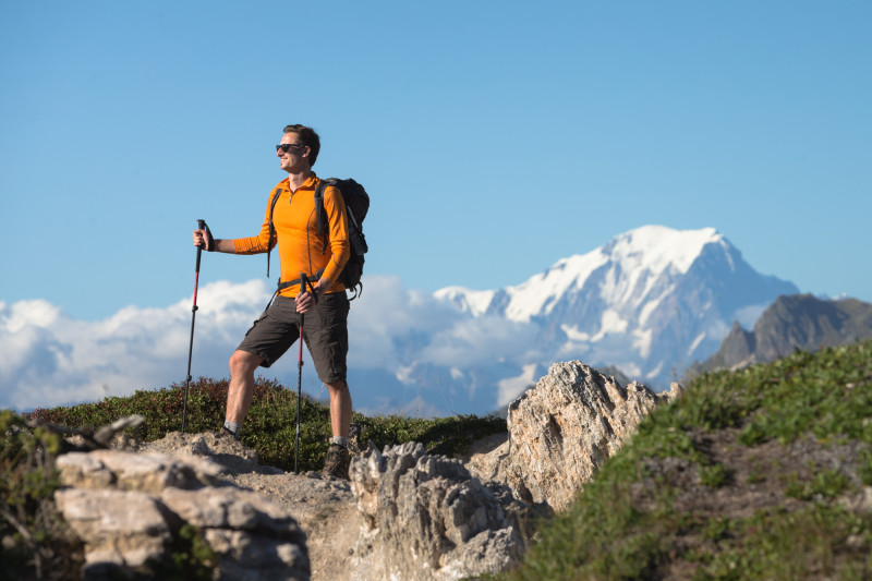 Sentier Dent du Villard - Bozel