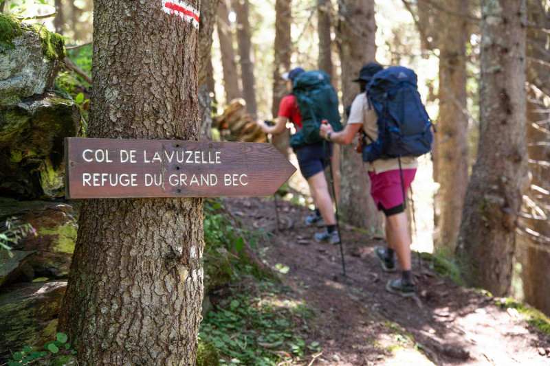 Sur le chemin en allant au refuge du Grand Bec en aller - retour - Planay