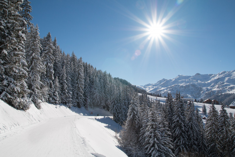 Piste verte - © S.Aymoz Piste verte