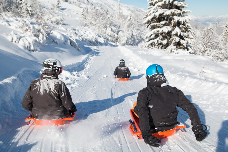Piste de luge