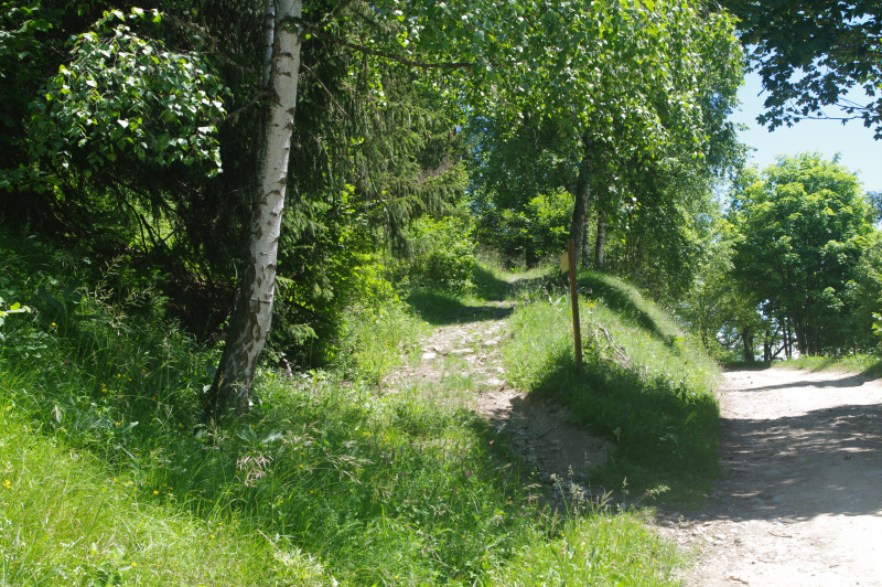 Sentier du Col du Parchit - Feissons sur Salins - © Nadia Mousselard Sentier du Col du Parchit - Feissons sur Salins
