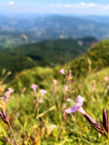 Instants de yoga - Vers le Souffle - Bozel