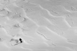 nj_randocourch_108896.jpg