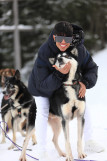Chiens de traîneau_Courchevel