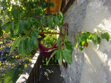 Location vacances - Bozel - Balcon