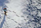 Raquettes à neige avec un guide_Bozel