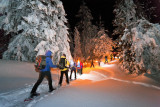 Raquettes à neige avec un guide_Bozel