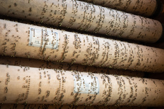 Orgue à rouleaux - Montagny Tarentaise