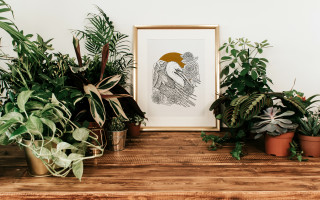 Demonstration of E. Gayard, illustrator_Bozel