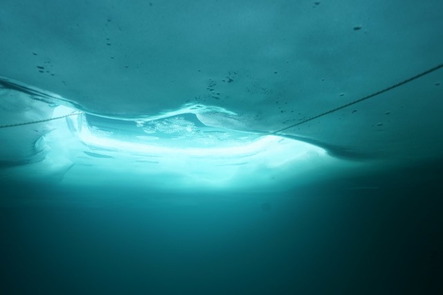 Plongée sous glace