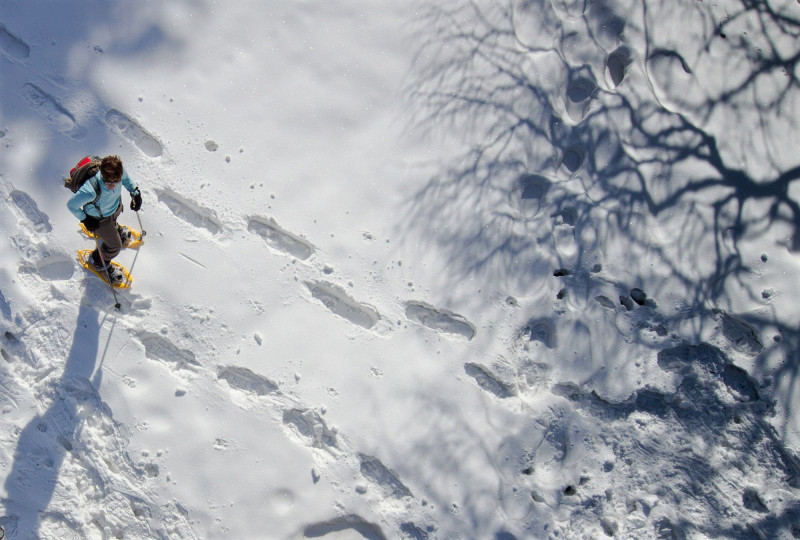Raquettes à neige avec un guide_Bozel