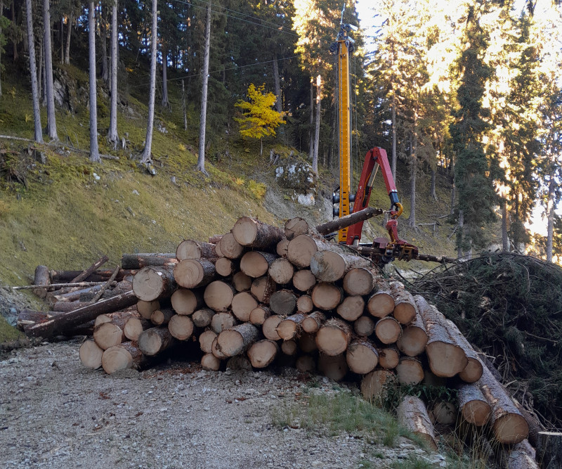 Découverte du débardage par câble_Planay