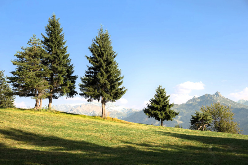 Location Benedetto Sophie - Feissons s/ Salins - Vallée de Bozel